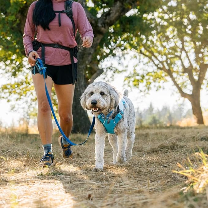 Ruffwear, Swamp Cooler Dog Harness, Lightweight with Evaporative Cooling for Hot Weather, Graphite Gray, Large/X-Large