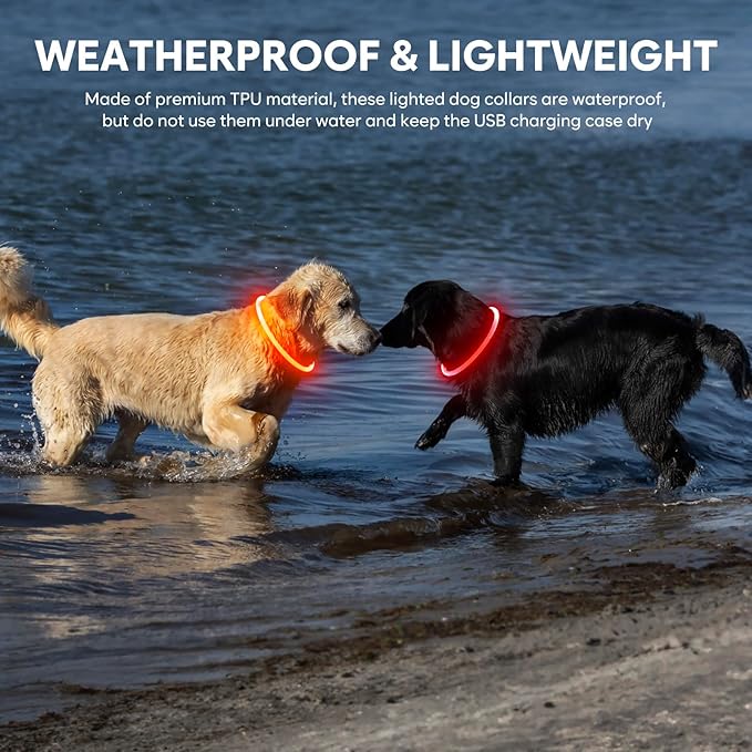 Led Dog Collar - Waterproof Lighted Doggie Collars for Night Rechargeable, High Visibility TPU Cuttable Lighted Pet Collar (Red)