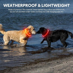 Lighted Dog Collar - Waterproof Puppy Collar Light Rechargeable, High Visibility Glowing Dog Lights for Night Walking (Orange)