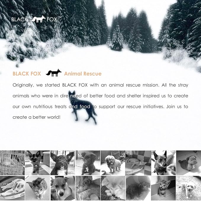 BLACK FOX Freeze-Dried Salmon Training Treats for Dogs and Cats | 280 Treats, 4oz Single Ingredient, Raw, Healthy, All Natural, Human Grade, Recyclable Packaging