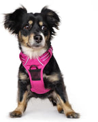 Doggie Design Venture Paw No Pull Dog Harness - Simple Adjustable Puppy Harness - Anti Pull Dog Collar for Walks and Outdoor Adventures - Wild Raspberry, S
