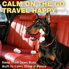 Tough Dog Toys, Toys for Aggressive Chewers Large Breed, Chew Dogs, Bone Toy Nylon Dogs Almost Indestructible