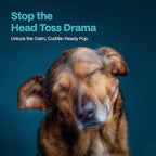 DOCO Dog Ear Cleaner Wipes Finger Cleaning Kit for Dogs & Cats Eucalyptus, Chamomile & Aloe Cat Ear Cleaner Soothes, Deodorizes & Helps Itchy Ears – 50 Count