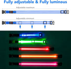 Vizpet LED Dog Collar, Light Up Dog Collar Adjustable USB Rechargeable Super Bright Safety Light Glowing Collars for Dogs(Small,Blue)