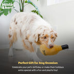 Huxley & Kent Halloween Funny Dog Toy w/Squeaker – Power Plush Squeaky Dog Toys for Small, Medium & Large Dogs – Soft Stuffed Animal for Indoor Play & Fetch - Bottle of Booz, One Size