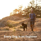 Ruffwear, Front Range Dog Harness, Reflective Soft Padded Everyday Harness with Dual Leash Clips, Adjustable and Lightweight Fit for Training or Walking for All Dogs, Spring Mountains, Medium