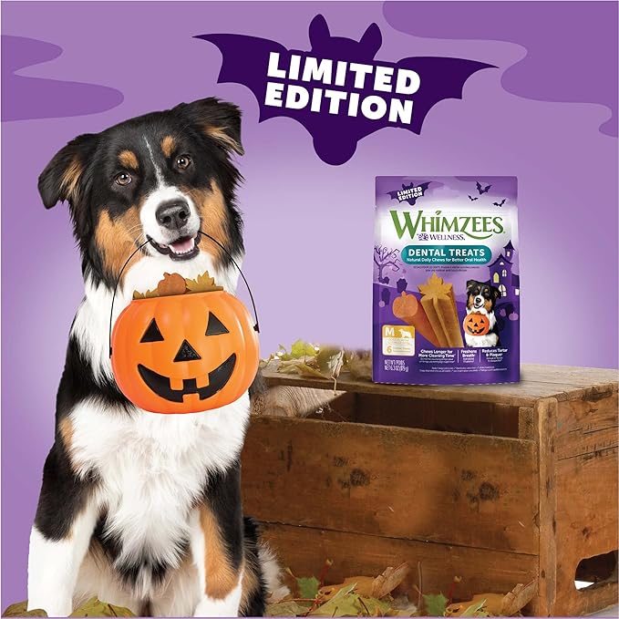 Wellness WHIMZEES Fall Dog Dental Treats, Autumn Natural Chews for Dogs, Medium Size Stick, (6 Count)