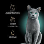 Sheba Perfect Portions Wet Cat Food Cuts in Gravy, with Sustainable Salmon, Tender Trout Entree, and with Sustainable Tuna, 2.6 oz. Twin-Pack Trays (24 Count, 48 Servings)