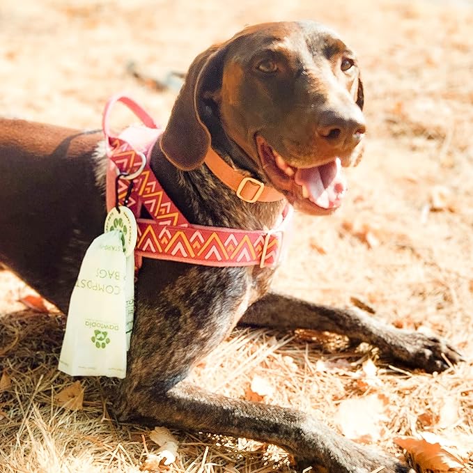 Pawtopia Certified Home Compostable Dog Poop Bags (60) + Pink Poop Bag Carrier, Biodegradable Poop Bags, Cat Litter, Vegetable Starches, Leakproof Dog Waste Bags, Easy to Open