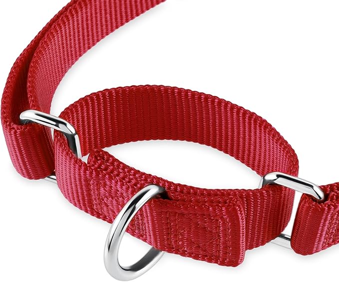 Hyhug Martingale Collar for Dogs Large Red |Escape - Proof Heavy Duty Nylon Durable No Pull, Ideal for Training & Daily Walks