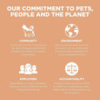 Go! Solutions Digestion + Gut Health, Dry Cat Food, Salmon Recipe with Ancient Grains, 16 lb Bag