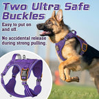 rabbitgoo Tactical Dog Harness for Small Dogs, No Pull Military Service Vest with Handle & Molle, Easy Control for Training Walking, Adjustable Reflective Straps, Purple, S