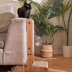 Nekosan T-Shaped Cat Scratcher for Indoor Cats, Double-Sided Furniture Protector, 23.6x16.9x9.6 Inch Large, Cardboard With Ball Toy