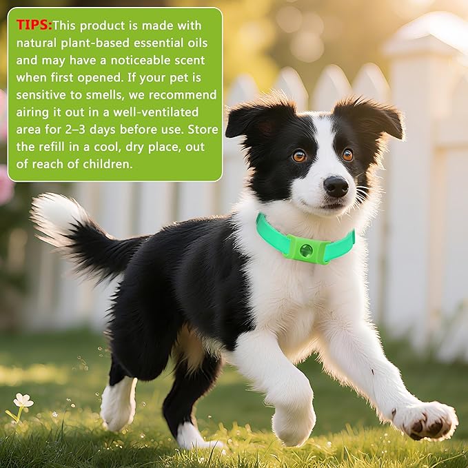 Natural Flea and Tick Collar + Pendant for Dogs – Waterproof, Adjustable Fit, 8+ Months Protection, 3 Refills Included