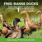 OPET Freeze Dried Cat Treats - Single Ingredient High Protein Pet Food, Healthy Training Snacks, Freeze Dried Duck Food Toppers for Cats and Dogs, Grain Free（Duck, 1.59 oz）