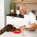 The Slowdown Bowl Silicone Slow Feeder for Dogs & Puppies, Slow Eating, Modern Lick Mat Design, Reduces Gulping, Fits 2 Cups 7.5” Across x 1.5” Tall, Mealtime Challenge, Medium-Cherry