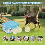 10Pack Cat Repellent Outdoor & Indoor: Natural Cat Deterrent Essential Oils Ball-Natural Extract Essential Oil, Anti Cat Scratch for Furniture, Keep Cats Off Yard Garden Lawn Plants Trash Can (10Pack)