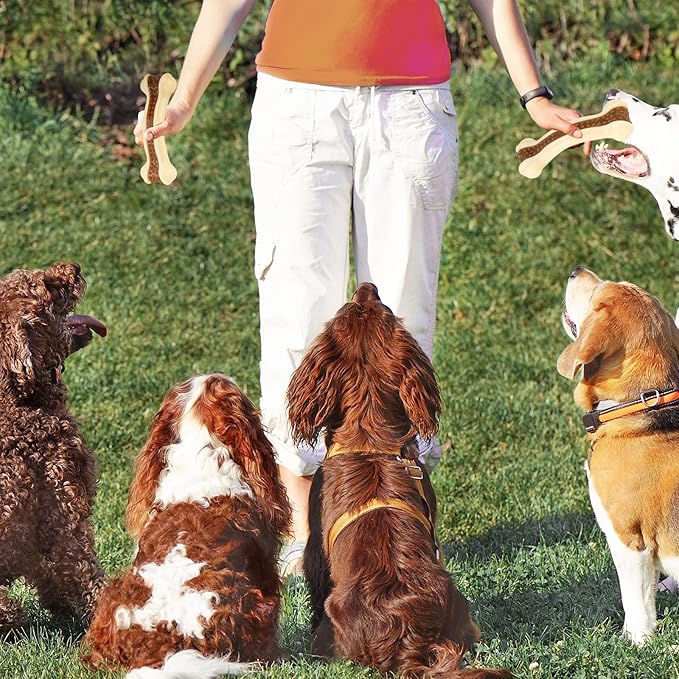 Dog Toys for Aggressive Chewers, 2 Pack Nylon Durable Dog Bones with Real Beef Flavor for Large/Medium/Small Breeds Pet Chew Toys