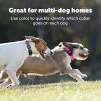 PetSafe Replacement Strap for Guardian GPS + Tracking 1.0 and Guardian GPS Dog Fence Collar, Made with Soft Touch Nylon for Enhanced Comfort,Long Lasting Wear Water Wicking, Waterproof Material, Gray