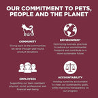 Go! Solutions Sensitivities Limited Ingredients, Grain-Free Dry Dog Food, Lamb Recipe for Sensitive Stomach, 12 lb Bag