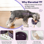 Elevated Slow Feeder Dog Bowls - Ceramic Food and Water Bowl Set with Stand - Raised Pet Dishes for Small and Medium Sized Dogs