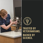 Purina Pro Plan Sensitive Skin and Stomach Dry Cat Food Turkey and Oat Meal Formula - (Pack of 1) 5.5 Pound Bag