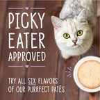 Stella & Chewy's Carnivore Cravings Purrfect Paté - Premium Grain-Free Wet Cat Food - Tuna & Pumpkin Recipe - High Protein with Bone Broth - Perfect for Picky Eaters - 2.8oz Cans (24 Pack)