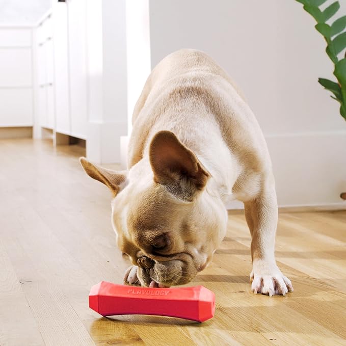 Playology Squeaky Dog Toy Fetch Stick | Durable Rubber Toys for Interactive Play | Beef Scented Fetch Stick for Medium Dogs | Floating Dog Toy Made from Non Toxic Materials