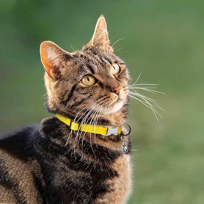 Leather Cat Collar with Buckle and Removable Bell - Non Breakaway Adjustable Soft Safety Small Pet Collars for Girl Boy Cats Kitten (Yellow)
