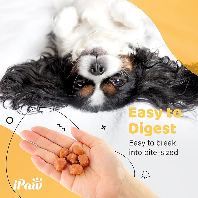 iPaw Turkey Tots Dog Treats for Puppy Training, All Natural Human Grade Dog Treat, US Sourced Raw Material, Hypoallergenic, Easy to Digest (Turkey Tots), 2 Packs