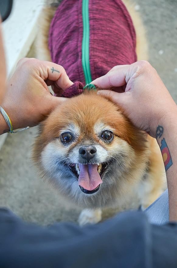 Gooby - Zip Up Fleece Vest, Fleece Jacket Sweater with Zipper Closure and Leash Ring, Fuchsia Wash, Large