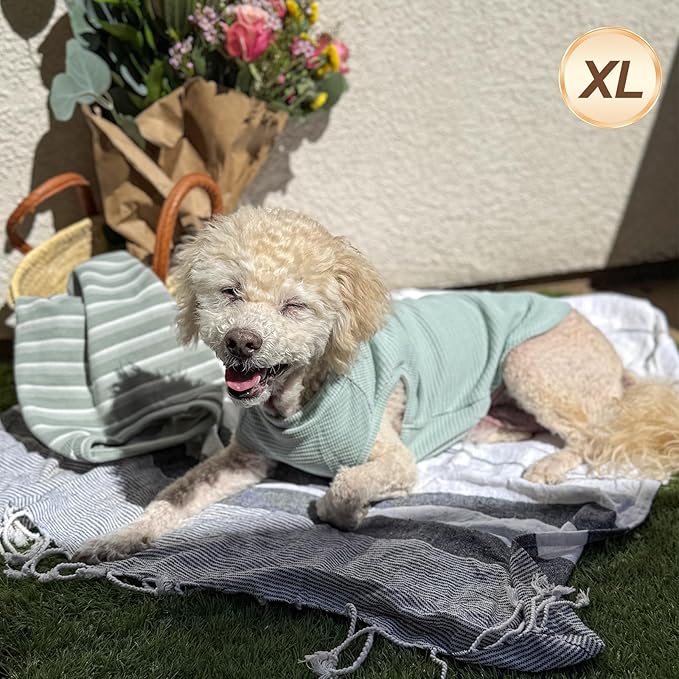 KYEESE 2Pack Waffle Dog Shirts for Small Dogs Stretchy T-Shirts Lightweight Tank Top Sleeveless Striped Vest Breathable Pet Tee, X-Large, Green+Striped