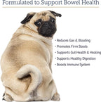 Rx Vitamins NutriGest Capsules for Cats & Dogs - Probiotics for Digestive Health Enhanced with Glucosamine for Gut Health Support - Helps with Constipation Relief and Anti Diarrhea - 90 Capsules