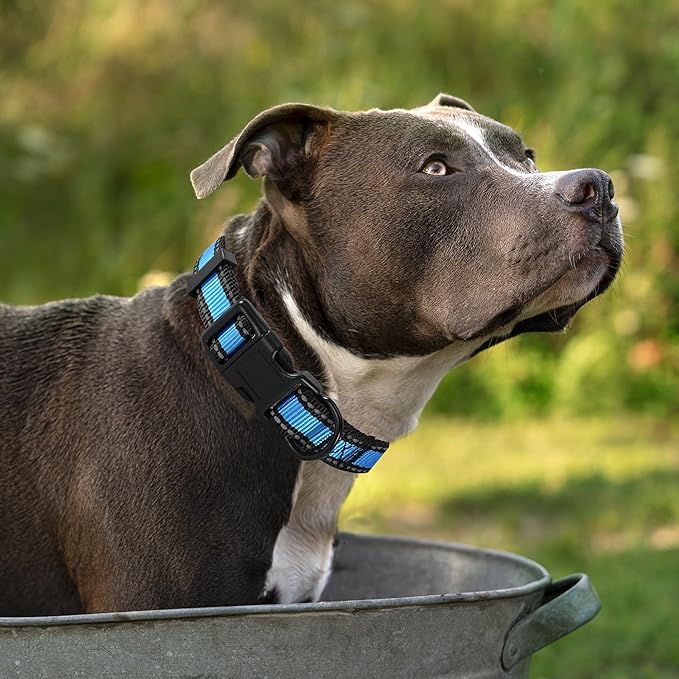 Mile High Life Dog Collar | Nylon Reflective Dog Collars | Light Weight Puppy Collars | Blue Dog Collars for Medium Dogs (Blue, Medium)