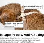 Cat Harness Escape-Proof Anti-Choking Adjustable Nylon Harness Lightweight with Anodized Aluminum Buckle, Ideal for Cats Outdoor Walking and Training, IDA Award (Space Gray, M (17.7"))