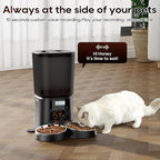 Automatic Cat Feeder,6L Timed Cat Dry Food Dispenser,Pet Feeder up to 6 Meals per Day,10S Voice Record,Flexible Schedule Timer,Auto Pet Feeder for Cats and Small Dogs (Black, 6L)