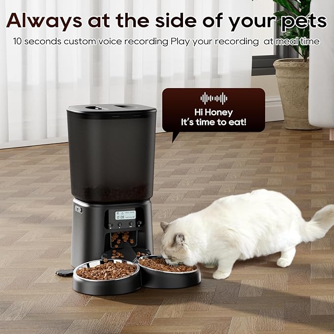 Automatic Cat Feeder,6L Timed Cat Dry Food Dispenser,Pet Feeder up to 6 Meals per Day,10S Voice Record,Flexible Schedule Timer,Auto Pet Feeder for Cats and Small Dogs (Black, 6L)