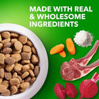 IAMS Proactive Health Large Breed Adult Dry Dog Food Lamb & Rice Recipe, 30 lb. Bag