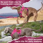 rabbitgoo Tactical Dog Harness for Large Dogs, No Pull Military Service Vest with Handle & Molle, Easy Control for Training Walking, Adjustable Reflective Straps, Rose Red, XL
