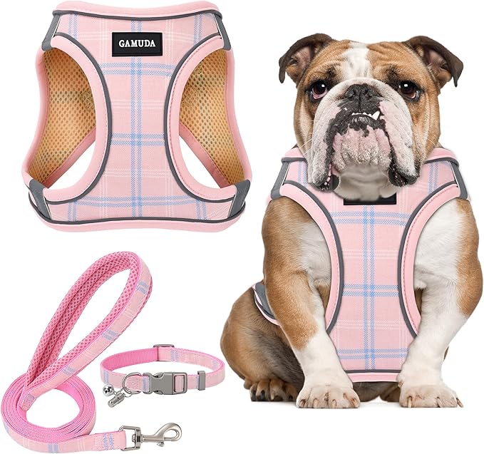 GAMUDA Small Dog Harness Collar and Leash Set, Step in No Chock No Pull Soft Mesh Adjustable Dog Vest Harnesses Plaid Reflective for Dogs Puppy Cats Kitten Rabbit (Pink, L)