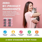 Wet Cat Food Canned Salmon Cutlets in Gravy, 100% Mercury-Tested, Moist Can Fish for Cats, Grain-Free, Protein, Non-GMO, Pack of 12