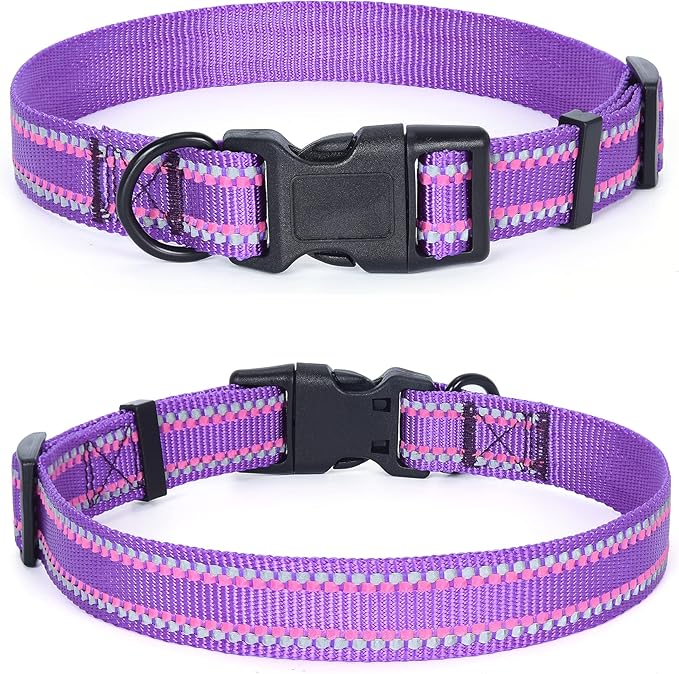 Mile High Life Nylon Night Light Glow Collar, Reflective Light Up Dog Collar, Fluorescent Self-Luminescent Strap for Small Medium Large Dogs (Purple, L Neck15-19")