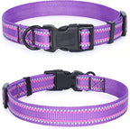 Mile High Life Nylon Night Light Glow Collar, Reflective Light Up Dog Collar, Fluorescent Self-Luminescent Strap for Small Medium Large Dogs (Purple, S Neck11-15")