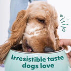 Optimeal Wet Dog Food Pouches - Grain Free Liver & Turkey Recipe, High Protein, Tender Morsels in Aspic Made with Natural Ingredients for Adult Dogs, Premium Nutrition - 3 oz, Pack of 12