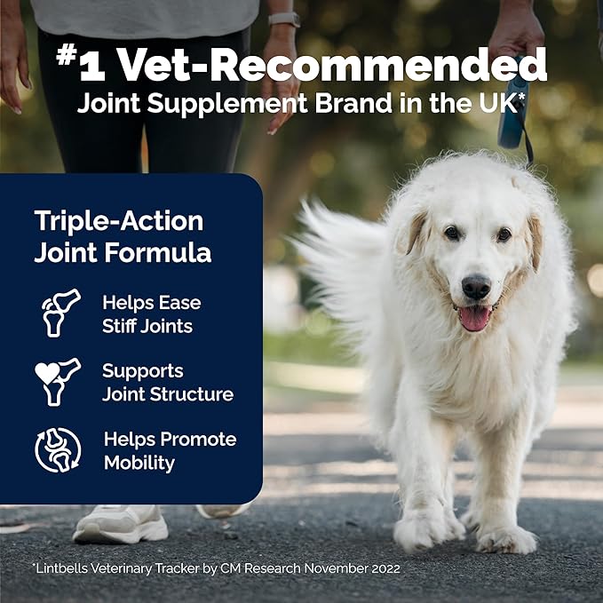 YuMOVE Hip & Joint Supplement for Senior Dogs with Max Strength Glucosamine Chondroitin, Omega 3, Hyaluronic Acid, Green Lipped Mussel, & Fish Oil for Dogs - 120 Chewable Tablets