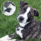 NFL Carolina Panthers Engraving Pet ID Tags in 32 Team Logo Shapes Personalized Dog Tags and Cat Tags with 3 Lines of Customizable Text for Tracking & Safety. Stainless Steel Pet ID Tracking Tags