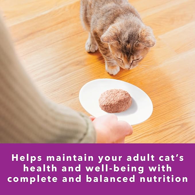 IAMS Perfect Portions Sensitive Digestion & Skin Adult Wet Cat Food Pate, Turkey Recipe, 2.6 oz. Easy Peel Twin-Pack Trays (24 Count, 48 Servings)