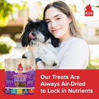 Plato Pet Treats Thinkers - Meat Stick Treats for Dogs - Limited Ingredient Dog Treats with EPA and DHA to Support Skin, Coat, and Brain - Air-Dried Dog Treats - Mini Thinkers Lamb 3oz