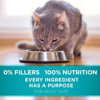 Purina ONE Natural Dry Cat Food, Tender Selects Blend with Real Salmon - 22 lb. Bag