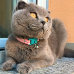 Kittyrama Bermuda Cat Collar with Bell - Breakaway Quick Release, Lightweight, Soft & Comfy